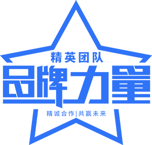 上海網站建設公司西久科技公司簡介